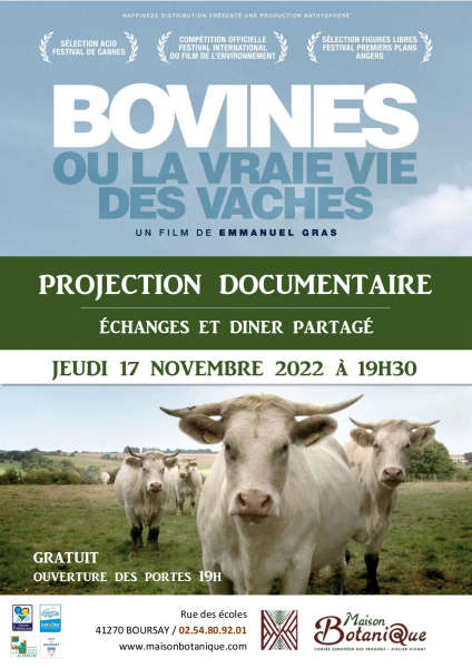 projection_Bovine