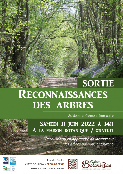SORTIE_-_reconnaissance_des_arbres