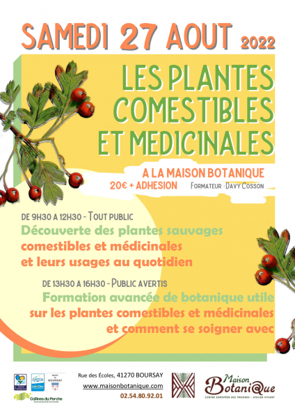 stage_-_plantes_sauvages